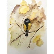 Tit, bird - original painting, watercolor painting. Artist Marina Stognieva